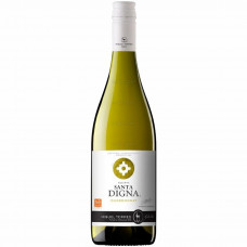 Torres Santa Digna Reserva Chardonnay