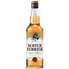 Scotch Terrier