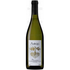 Winery Gunko Riesling Anchor