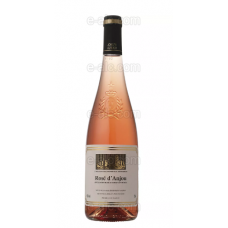 Joseph Verdier Anjou Rose