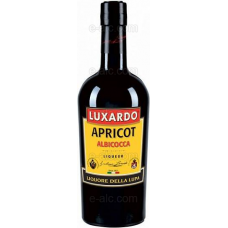 Luxardo Apricot