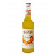 Monin Orange