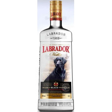 Labrador Black