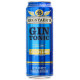 Regstaer`s Gin-Tonic