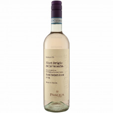 Pasqua Pinot Grigio